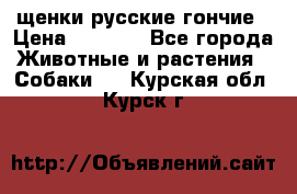 щенки русские гончие › Цена ­ 4 000 - Все города Животные и растения » Собаки   . Курская обл.,Курск г.